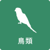 鳥類