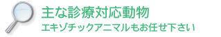 主な診療対応動物 エキゾチックアニマルもお任せ下さい