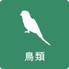 鳥類