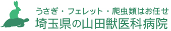 うさぎ・フェレット・爬虫類はお任せ 埼玉県の山田獣医科病院